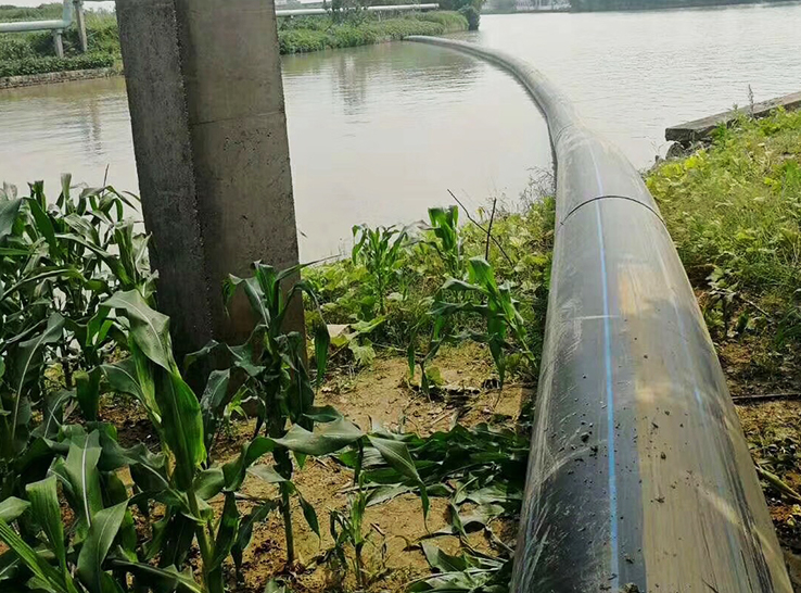 Progetto di irrigazione agricola 2022 a Shanghai